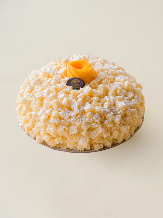 Mimosa